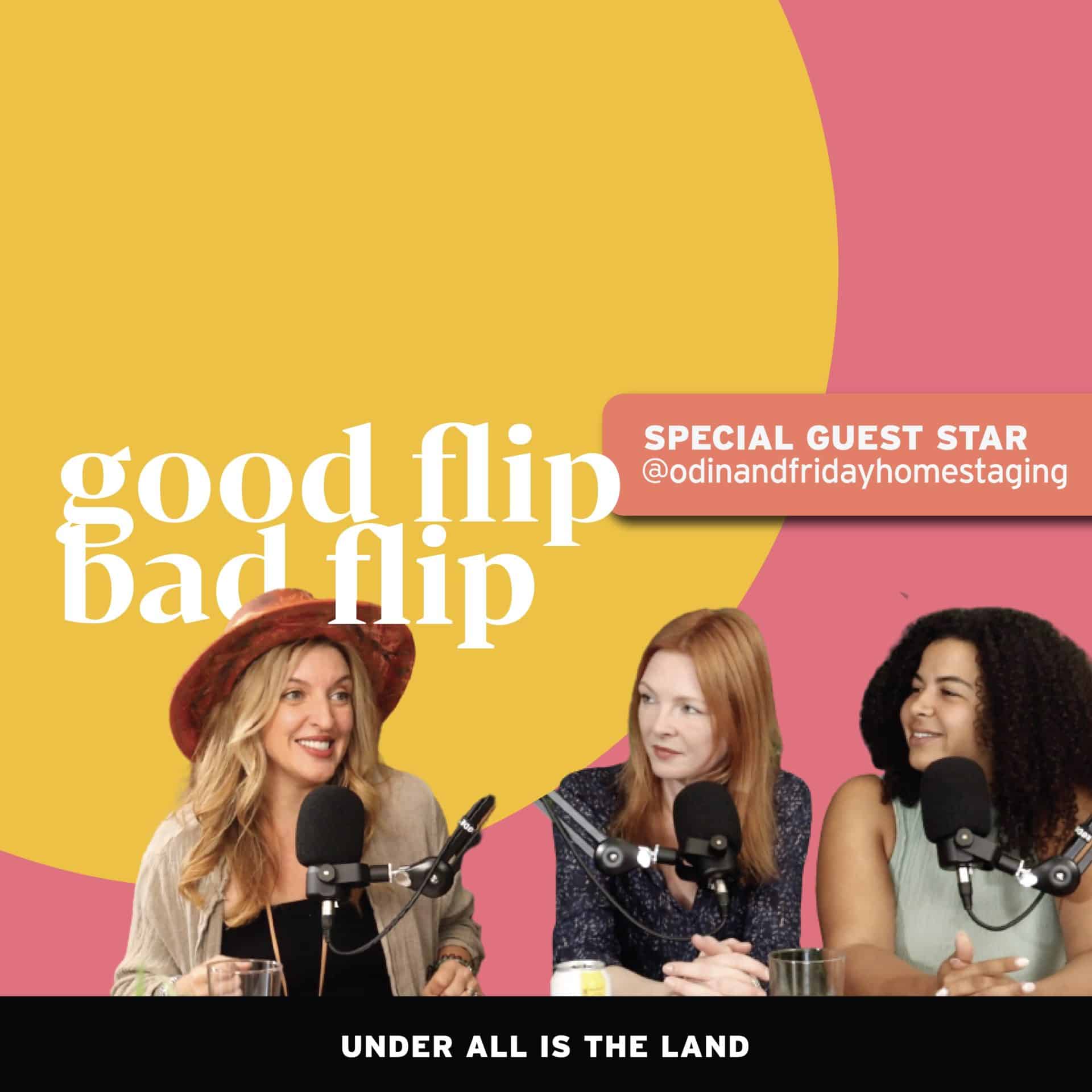 Good Flip, Bad Flip!